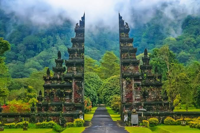 Tropical rice terraces and palms in Bali, Indonesia